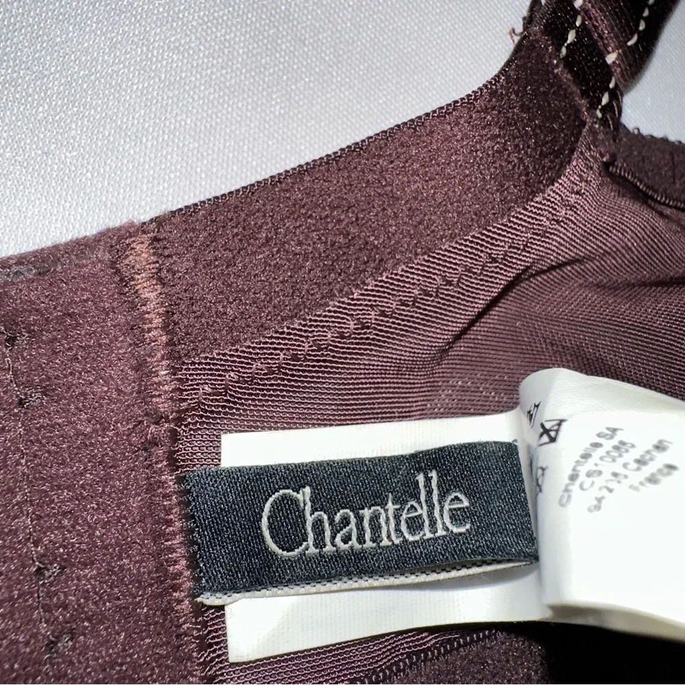 Chantelle Elegant Lace Underwire Bra - Brown 32DDDD‎